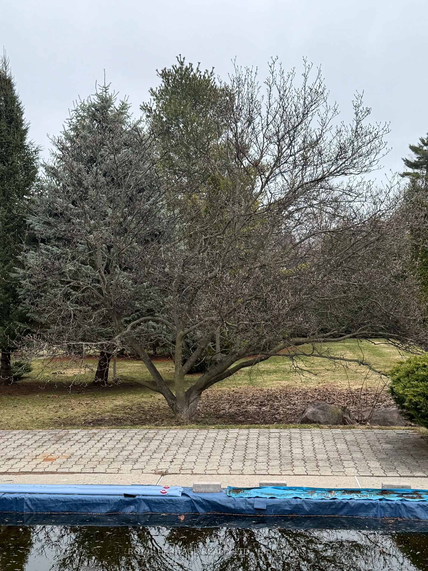 527 Rougemount Drive, Pickering, ON L1W 2C1
